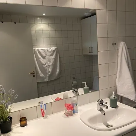 Amazing Studio Apartment In Copenhagen City Apartment