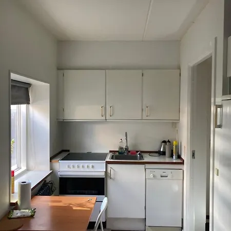 Amazing Studio Apartment In Copenhagen City Apartment *